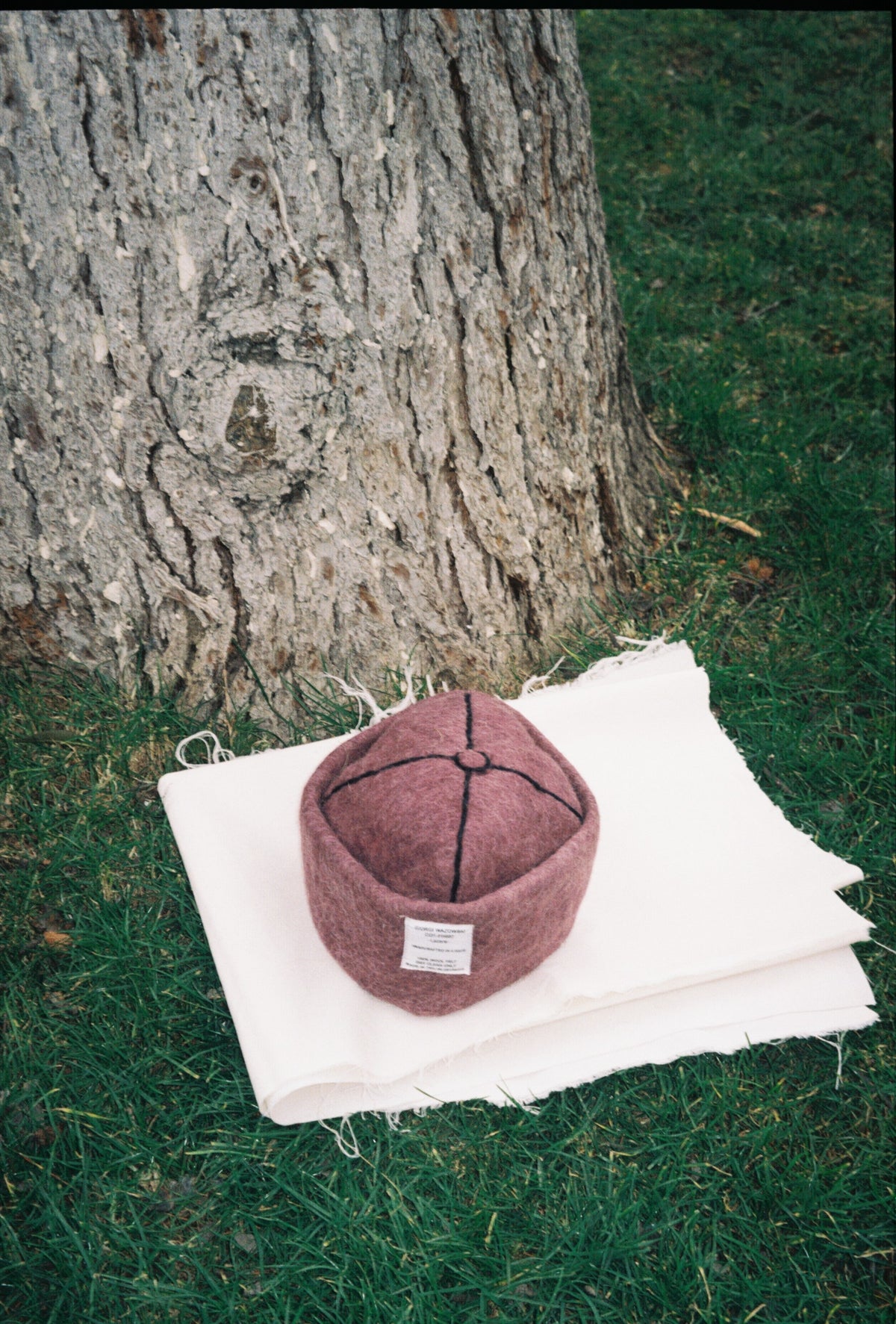 LAZARE Hat in Grape